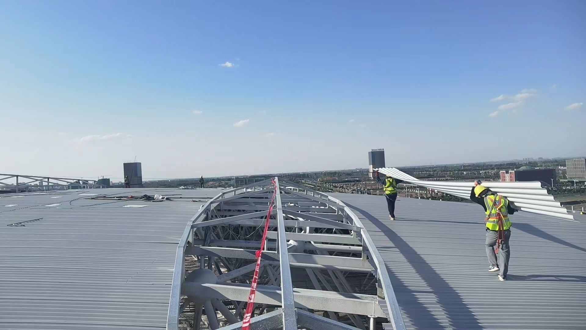 1684980971128756.jpg 十二師.jpg